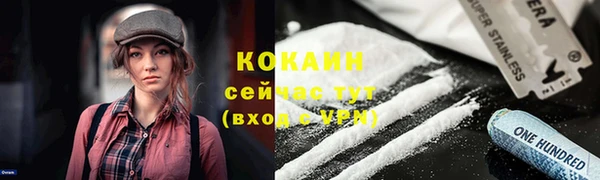 ПСИЛОЦИБИНОВЫЕ ГРИБЫ Горнозаводск